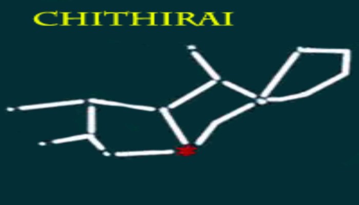 chitra.jpg