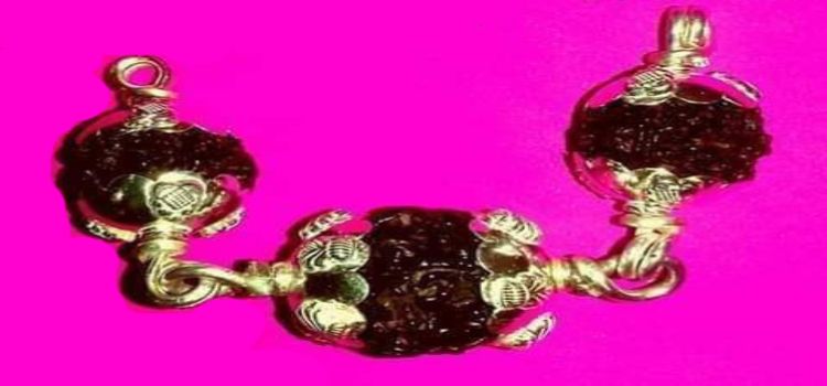 rudhraksham