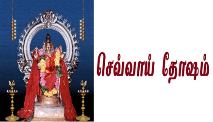 sevai_thosam.jpg
